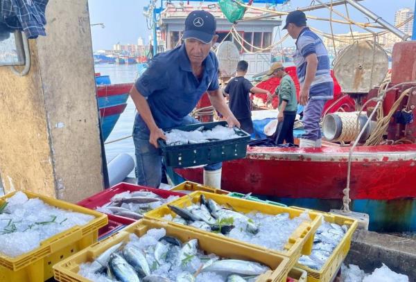 Đà Nẵng quyết liệt các giải pháp chống khai thác hải sản bất hợp pháp