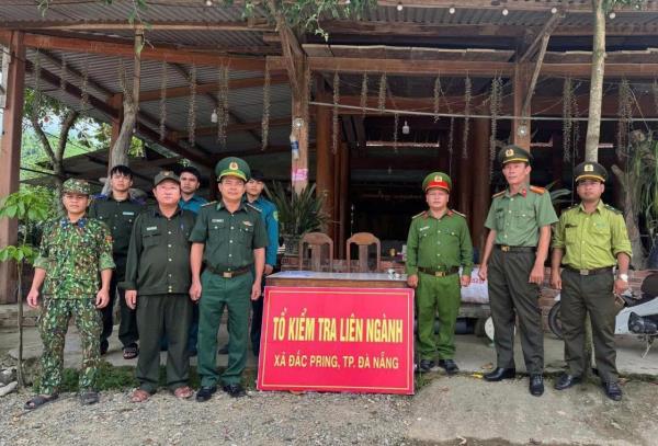 Tăng cường chốt chặn, bảo vệ cây ươi