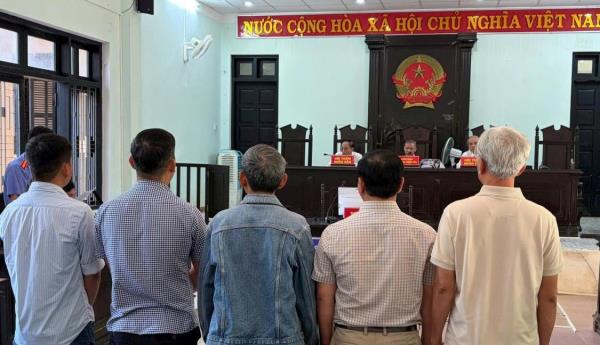 5 cán bộ liên quan đến vụ sai phạm tận thu rừng cháy ở Huế bị tuyên án tù