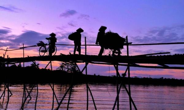 Cầu nối tuổi thơ