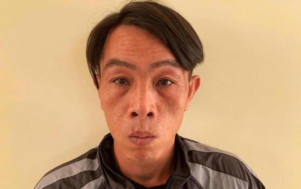 Ngựa quen đường cũ