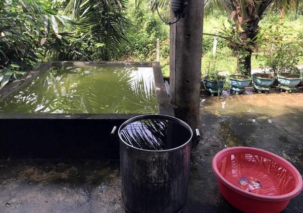 Nước đến chân vẫn chưa… chạy