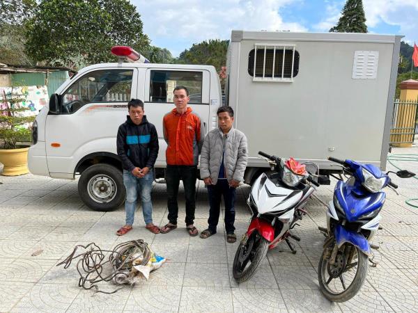 Báo động nạn đạo chích ở vùng cao