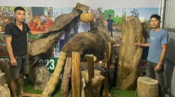 Bị khởi tố vì mua bán gỗ quý hiếm