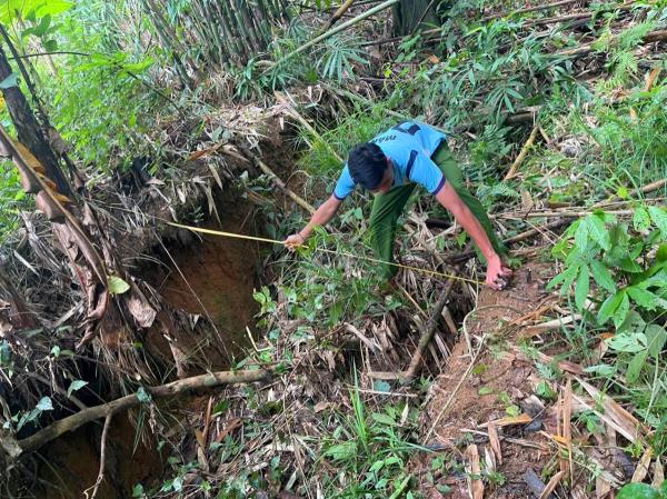 Kỳ cuối: Xác định nguyên nhân và kịch bản ứng phó