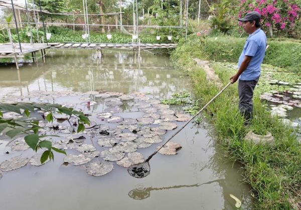 Đầu tư ít, lợi nhuận cao từ đặc sản dân dã