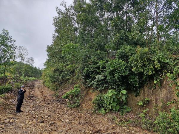 Nhiều mỏ khoáng sản trúng đấu giá cao hơn 50 lần nhưng vẫn khả thi