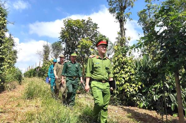 Giữ bình yên cho mùa thu hoạch cà-phê