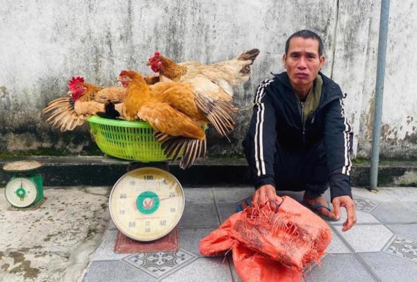 Trộm gà nhà anh trai