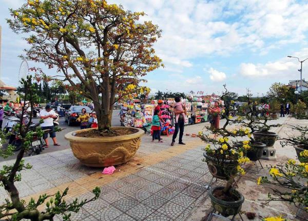Đà Nẵng tổ chức chợ hoa Tết Ất Tỵ 2025 trong 10 ngày
