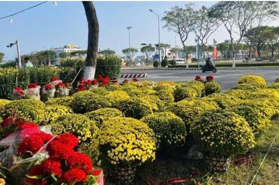 Quận Liên Chiểu triển khai kế hoạch tổ chức Hội chợ hoa xuân Tết Ất Tỵ 2025