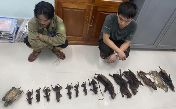 Quảng Nam xử lý nghiêm các đối tượng xâm hại động vật hoang dã