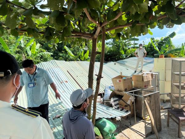 Xử lý điểm du lịch trái phép ù lì trên rừng Hải Vân