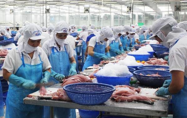 Kim ngạch xuất khẩu của TP Đà Nẵng tăng trưởng trở lại