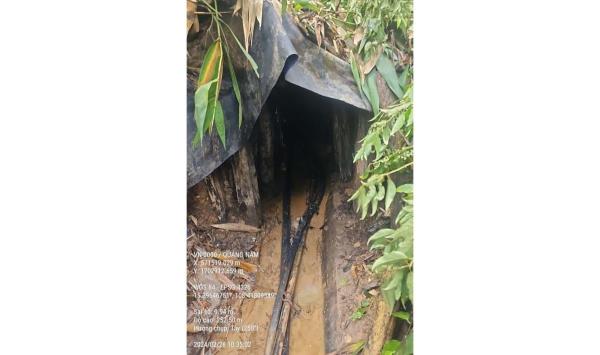 Núp bóng trại chăn nuôi để khai thác vàng trái phép