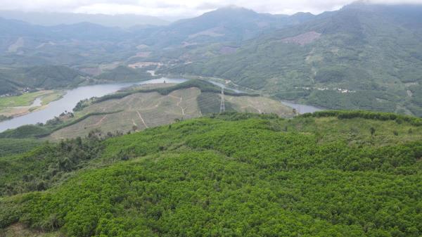 Ủy ban kiểm tra Huyện ủy Tiên Phước vào cuộc xác minh