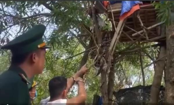 Bí mật trên lều tổ chim