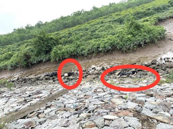 Hà Tĩnh: Phát hiện 2 nam thanh niên tử vong trên tuyến đê Hữu Nghèn