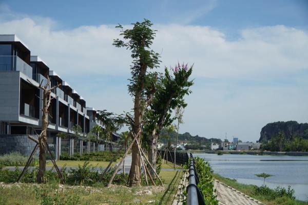 Dự án khơi thông sông Cổ Cò đang vướng ở cầu Biện