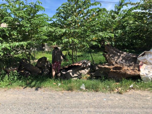 Có yếu tố gian dối trong việc rao bán đất của bà Ngô Thị Ngọc Thoa?