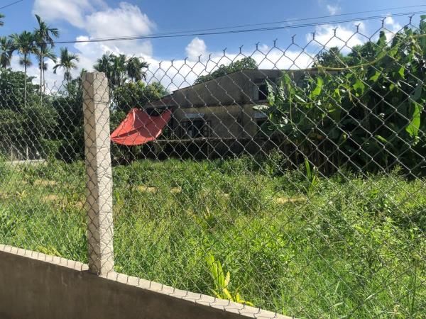 Khổ vì bỗng dưng được cấp sổ đỏ