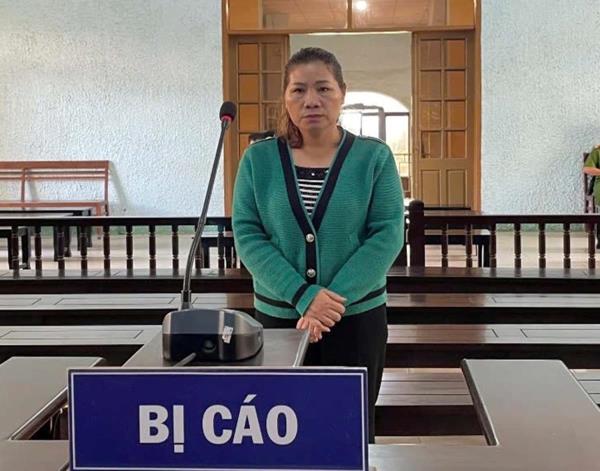 Lừa vay đáo hạn chiếm đoạt tiền tỷ