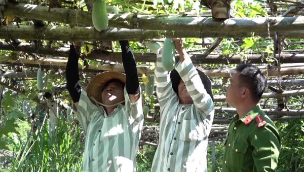 Niềm vui chờ ngày đặc xá