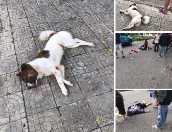 Đừng đánh trống bỏ dùi