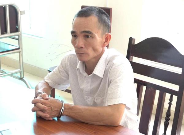 Cặp bạn tù kẻ tung người hứng lừa chạy án