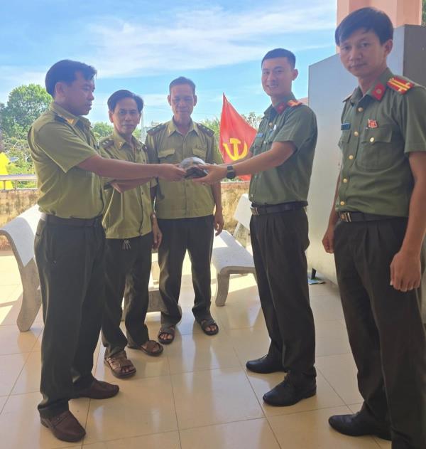 Người dân liên tiếp phát hiện rùa quý hiếm