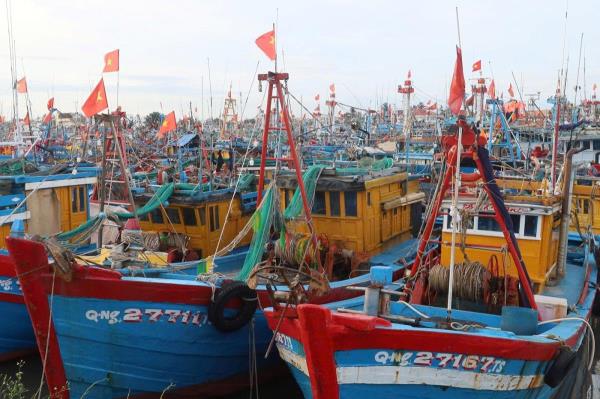 Quảng Ngãi khẩn trương sắp xếp tàu thuyền, hoàn tất trước 17 giờ hôm nay