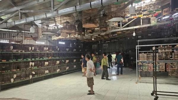 Núp bóng nuôi chim cảnh để hợp thức hóa buôn bán chim hoang dã