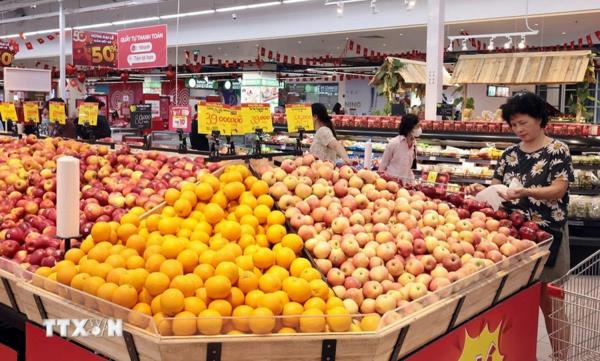 OECD: Kinh tế Việt Nam tiếp tục giữ vững đà phục hồi trong giai đoạn 2026-2027