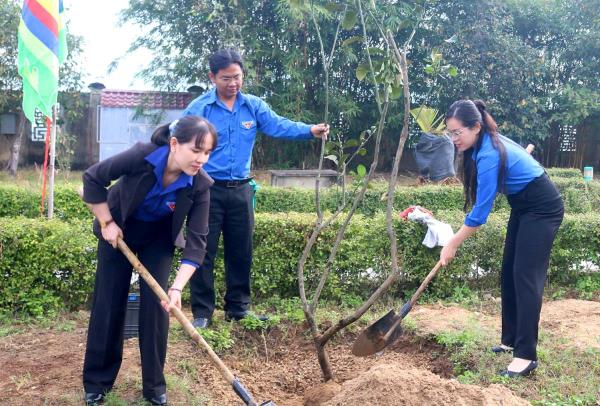 Bình Định phát động Tết trồng cây Đời đời nhớ ơn Bác Hồ
