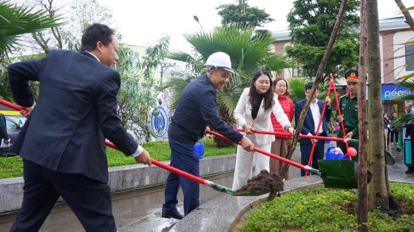 Hải Châu phát động Tết trồng cây: Hàng trăm chậu cây xanh đến tay người dân
