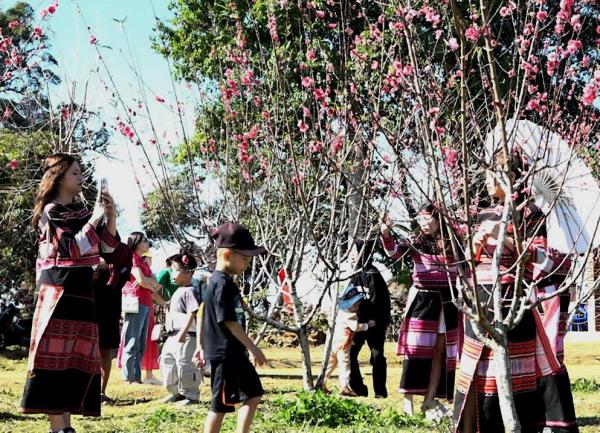Đặc sắc Lễ hội hoa đào vùng cao Vĩnh Sơn