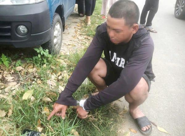 Bắt dế canh trưa