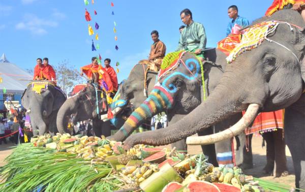 Du khách thích thú, ấn tượng với Hội voi Buôn Đôn