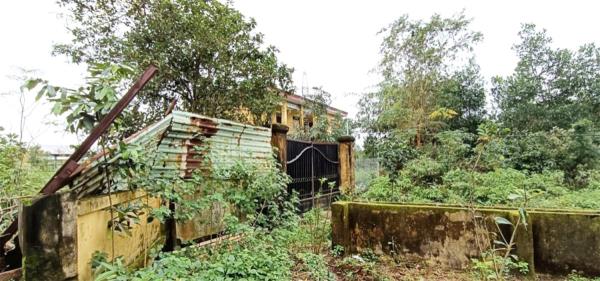 Nghịch lý thừa và thiếu