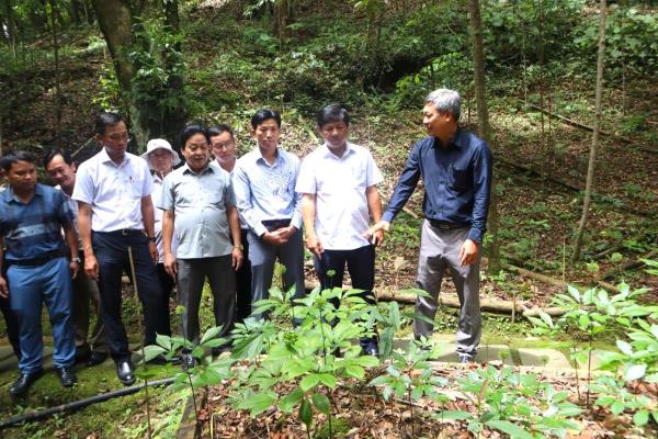 Phê duyệt Đề án Phát triển và hình thành trung tâm công nghiệp dược liệu tại Quảng Nam