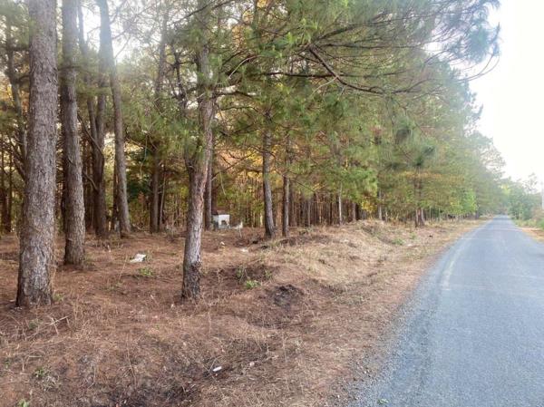 Giữa đường gặp yêu râu xanh