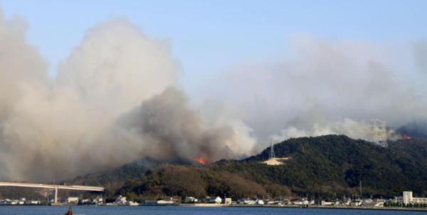 Cháy rừng nghiêm trọng tại nhiều nước