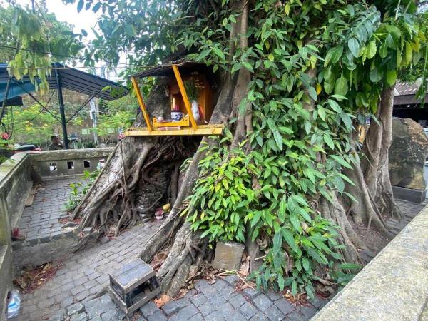 Bia cổ trấn yểm liên quan Chùa Cầu bị đục phá