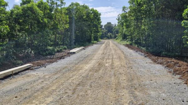 Đường… rùa bò