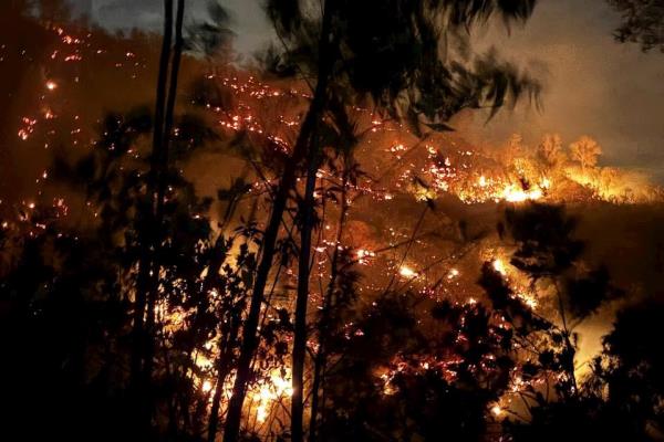 Nỗ lực khống chế vụ cháy rừng tại Duy Xuyên