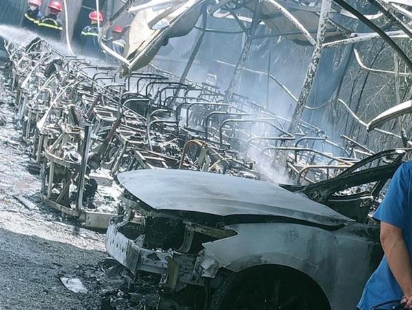 Hóa vàng 9 xe điện và 1 ô-tô