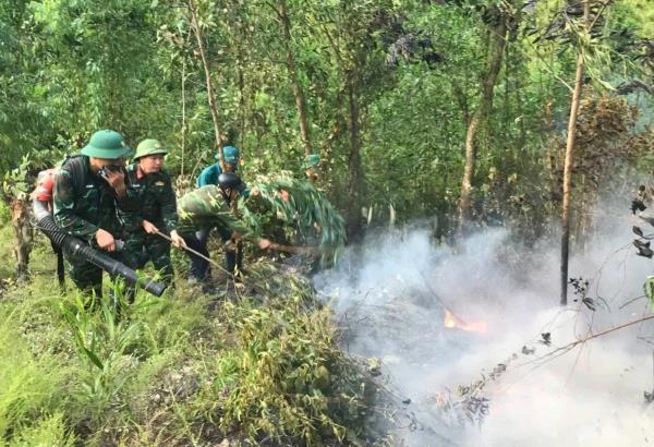Hàng trăm người dập lửa cứu rừng