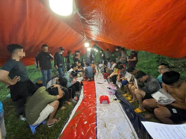 Đột kích ổ bạc giữa rừng keo bắt 14 đối tượng