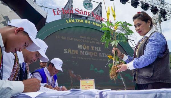 Lễ hội Sâm Ngọc Linh lần thứ VII mang về hơn 5 tỷ đồng