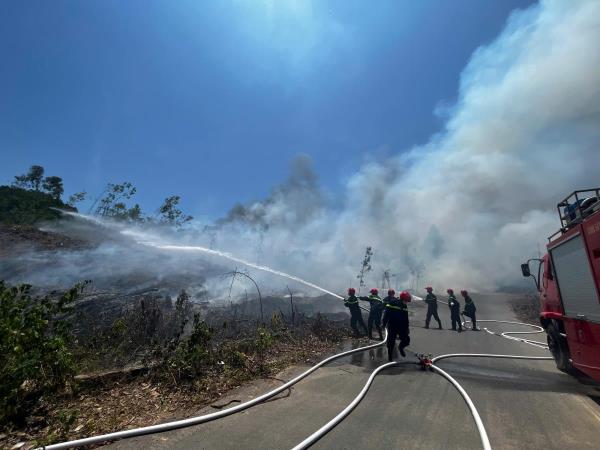 Cảnh sát PCCC đội nắng dập đám cháy 3.000m² tại nghĩa trang TP Đà Nẵng